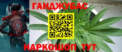стаф Краснодар