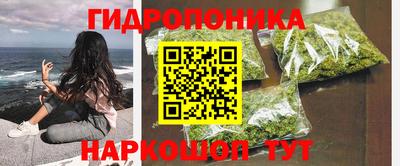 стаф Краснодар